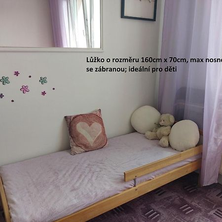 Apartman V Podhuri Krusnych Hor Sokolov Extérieur photo