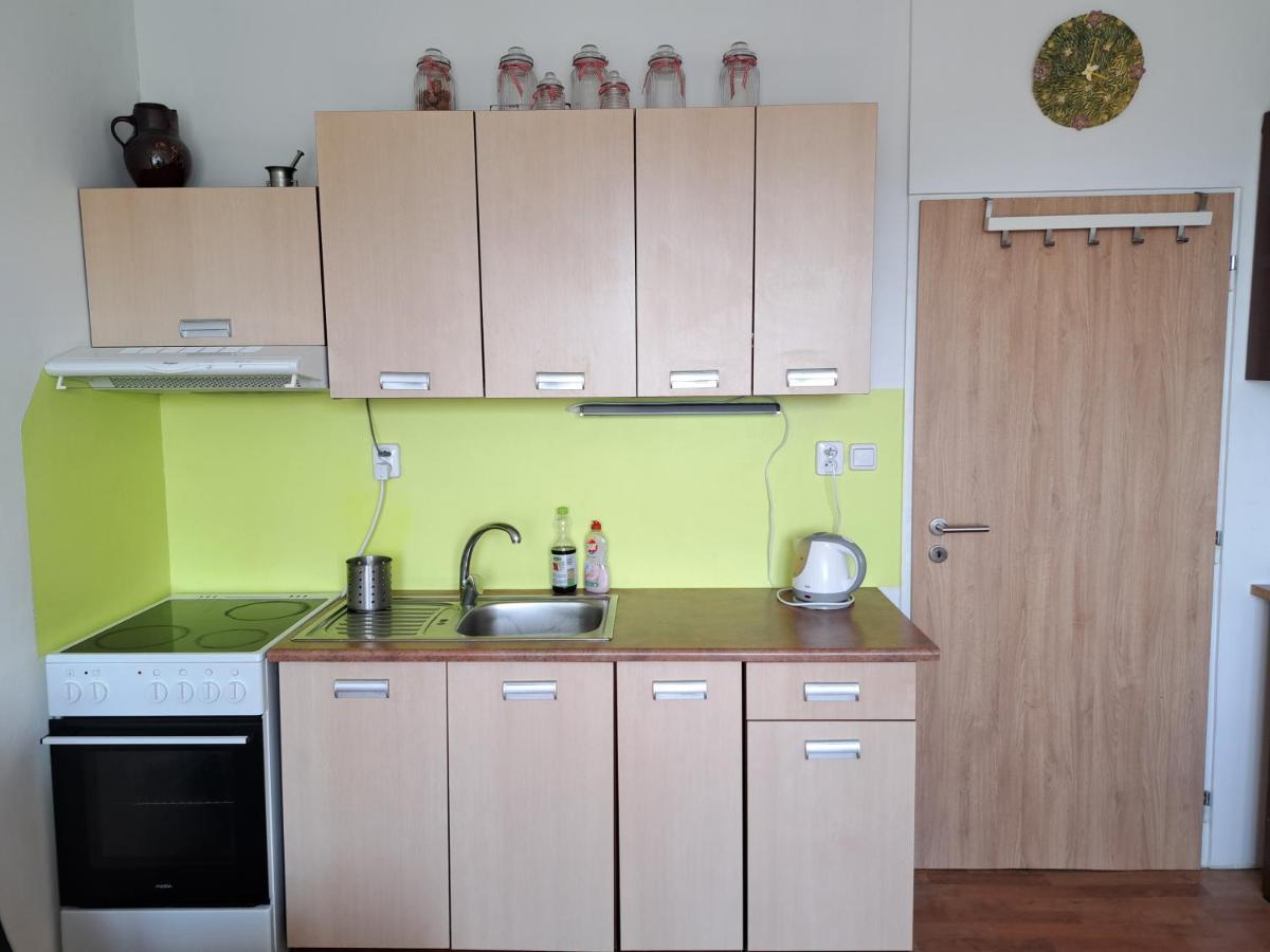 Apartman V Podhuri Krusnych Hor Sokolov Extérieur photo