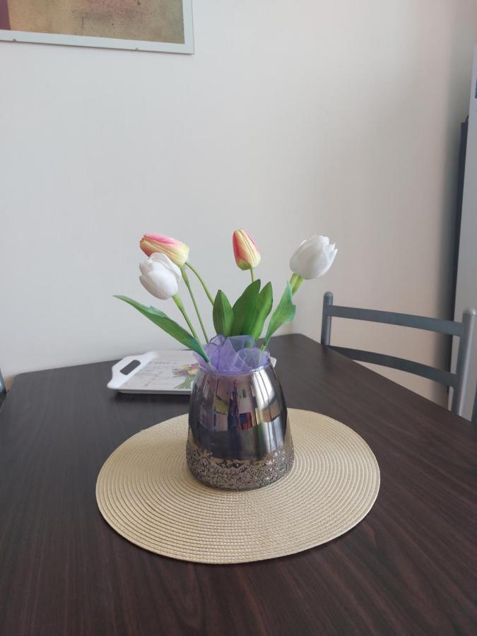 Apartman V Podhuri Krusnych Hor Sokolov Extérieur photo
